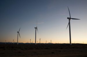 Dozens of wind turbines at sunset in the desert