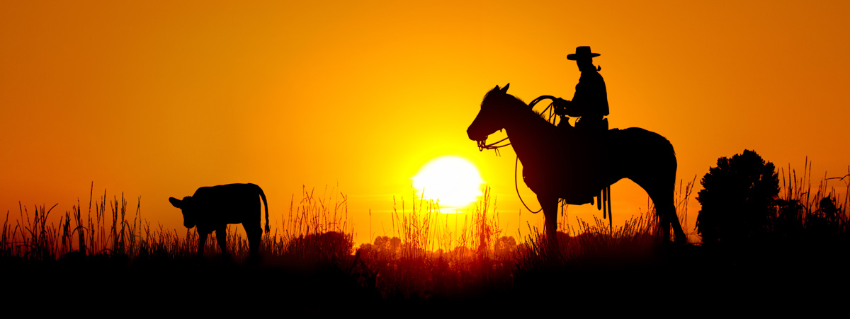 Silhouettes of a person on a horse and a cow in front of an orange sunset in West Texas.