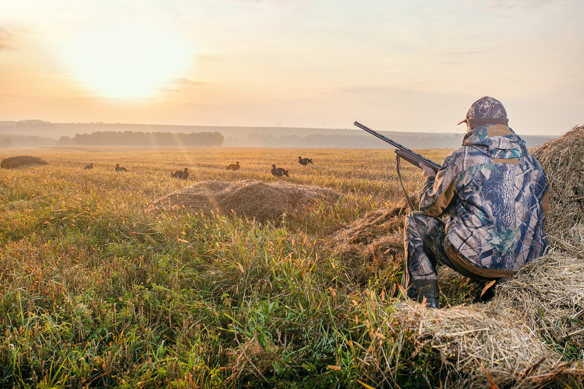 A person in a camouflage outfit hunting turkey on West Texas land.