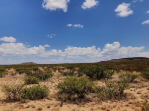 West Texas Land for Sale
