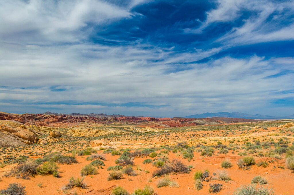 Landscape of West Texas desert land.