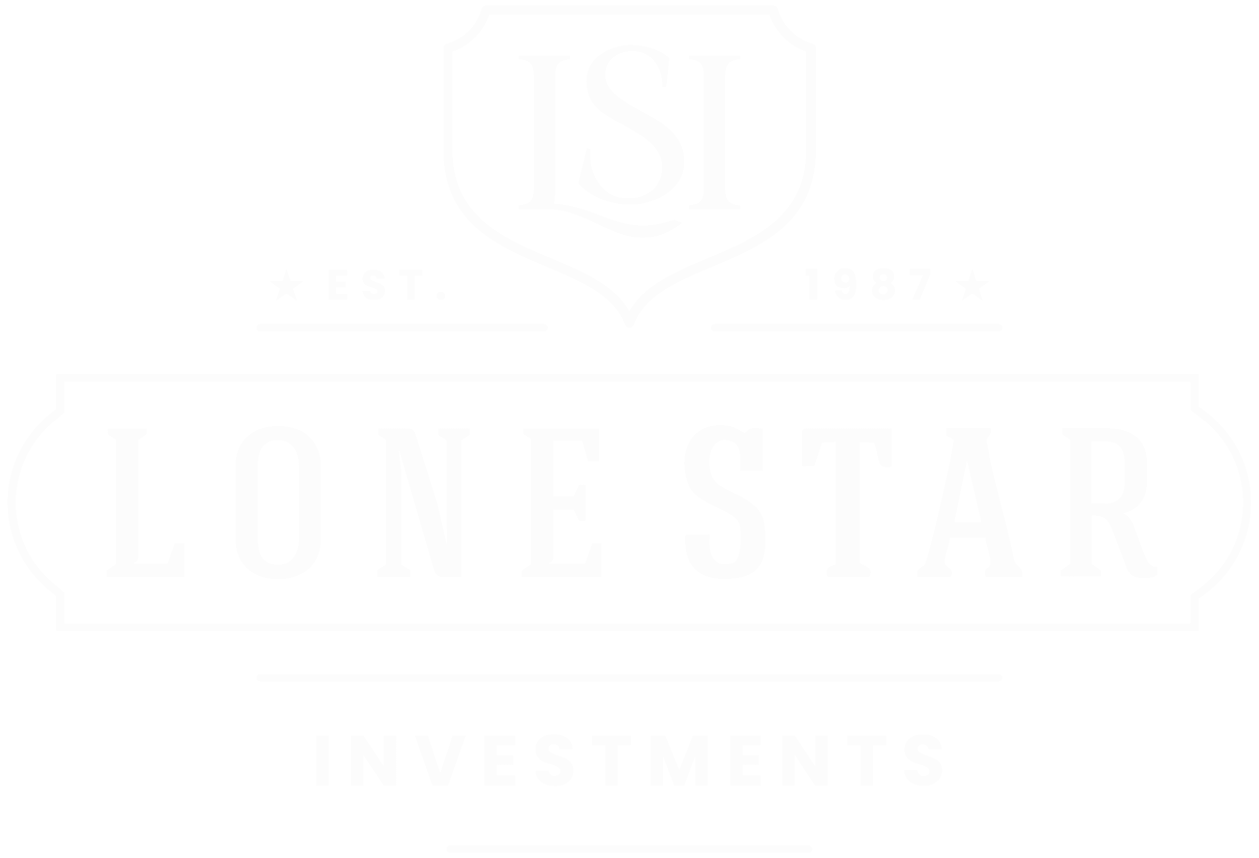 Lone Star Investments Logo